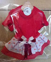 Kleid rot
